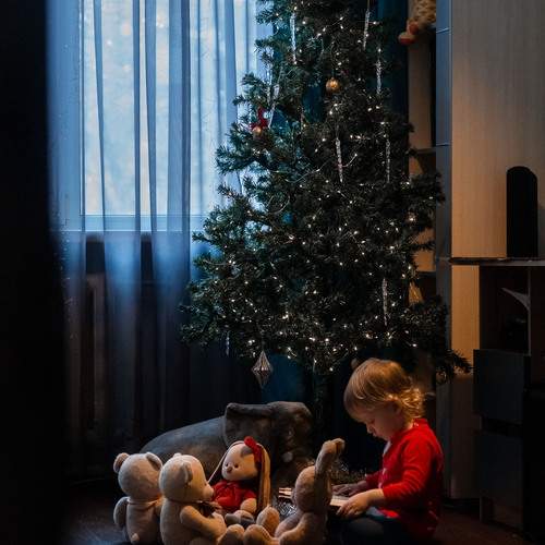 Photo #13059075