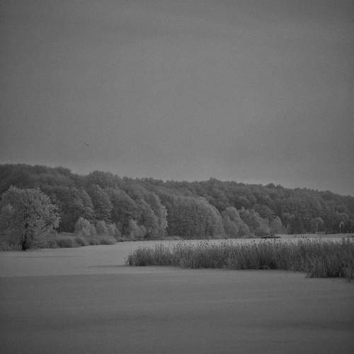 Photo #13059113