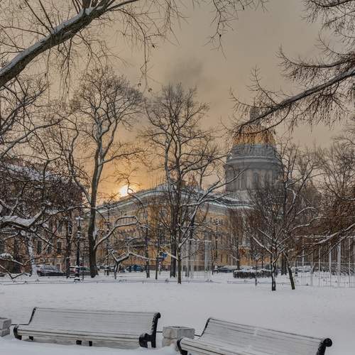 Photo #13059279