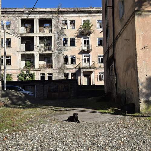 Photo #13059325