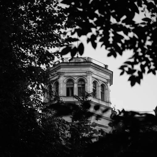 Photo #13059391