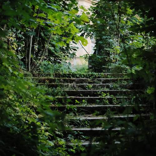 Photo #13059408