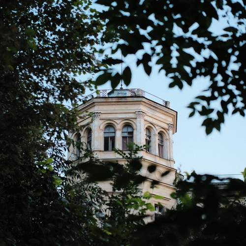 Photo #13059413