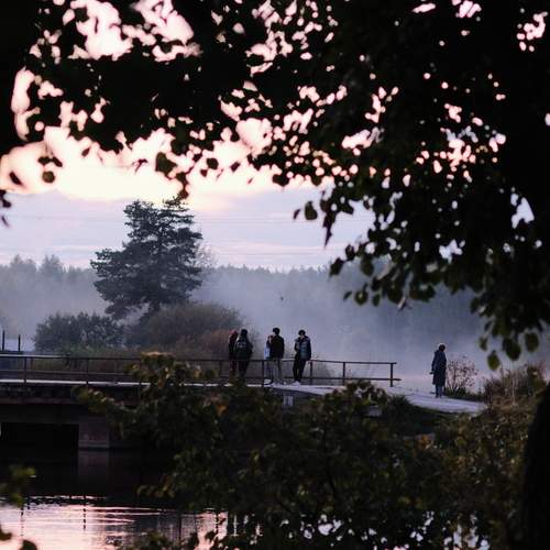 Photo #13059422