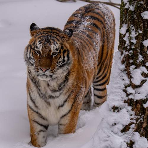 Photo #13059428