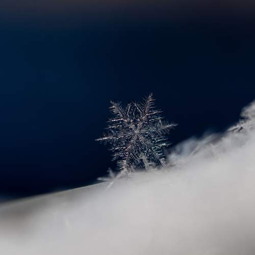 Photo #13059453