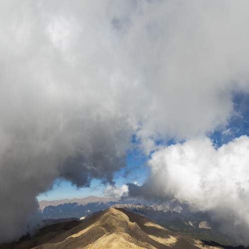 Photo #13059464