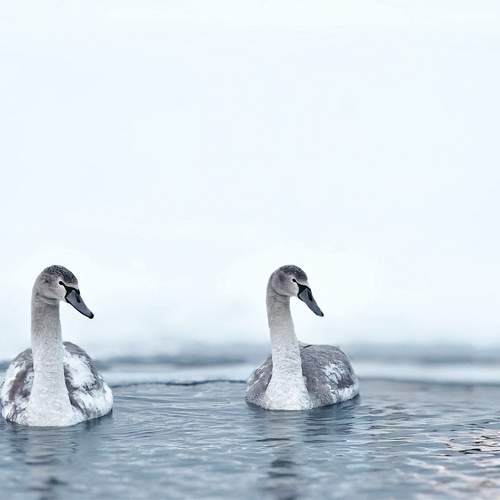 Photo #13059467