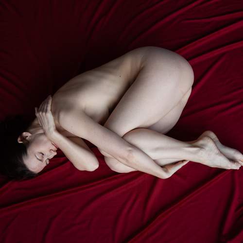 Photo #13059521