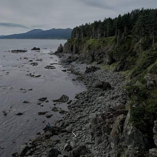 Photo #13059559