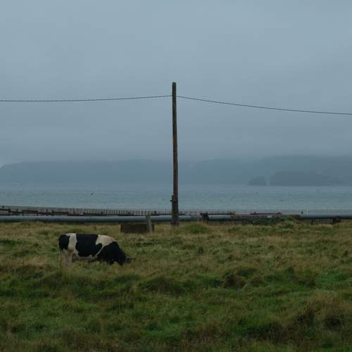 Photo #13059561