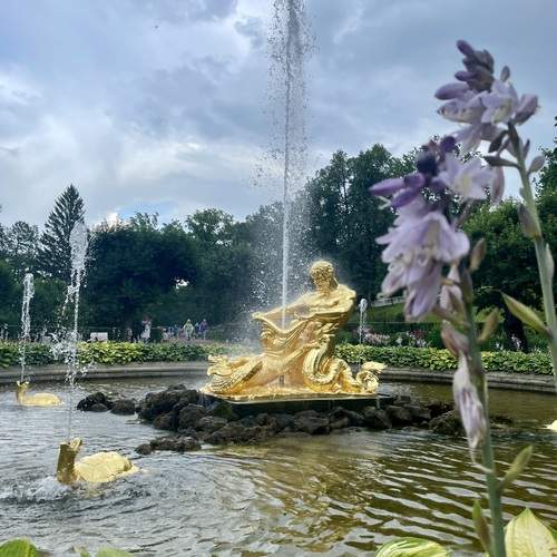 Photo #13059593