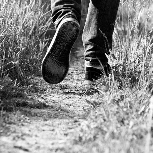 Photo #13059608
