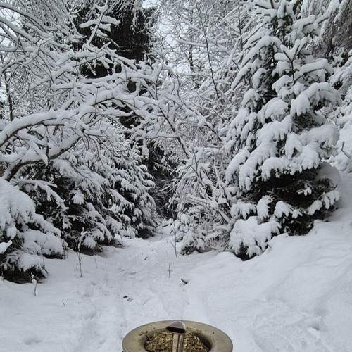 Photo #13059623