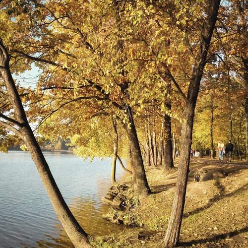 Photo #13059768
