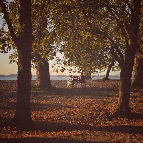 Photo #13059772