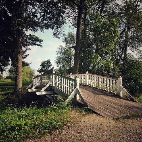 Photo #13059790