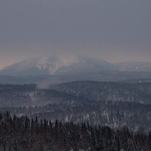 Photo #13060154