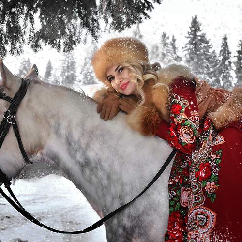 Photo #13060204