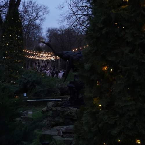 Photo #13060214