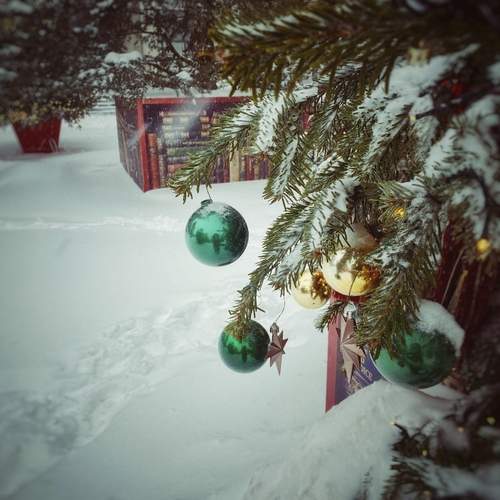 Photo #13060324