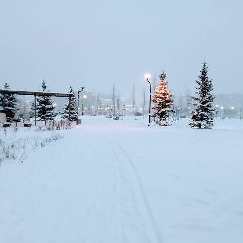 Photo #13060366