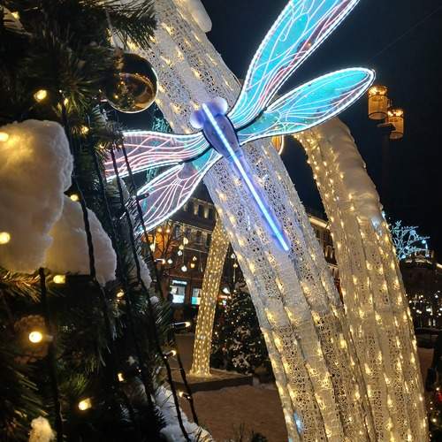 Photo #13060451