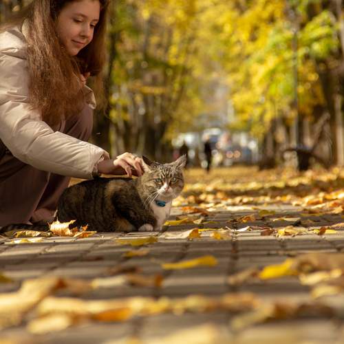В сквере
