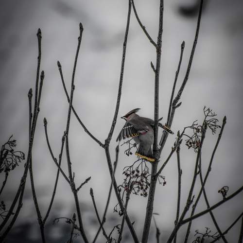 Photo #13060554
