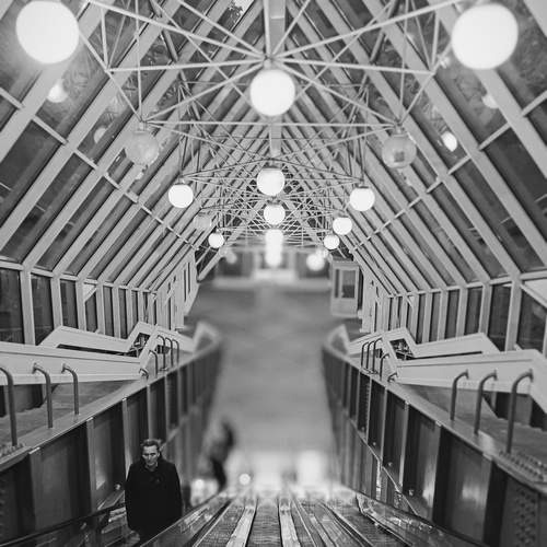 Photo #13060555