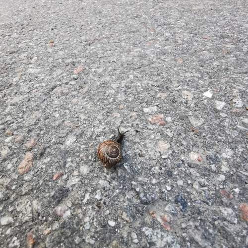 Photo #13060599