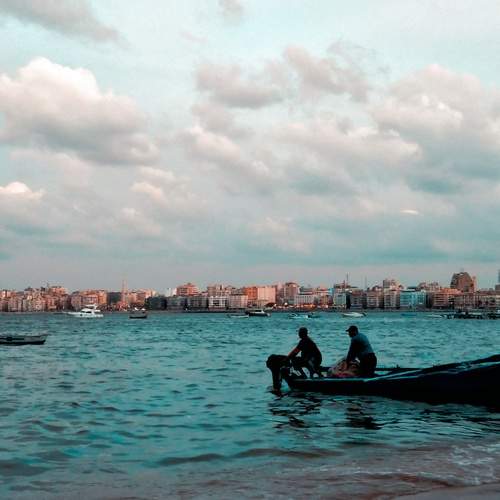 Photo #13060624