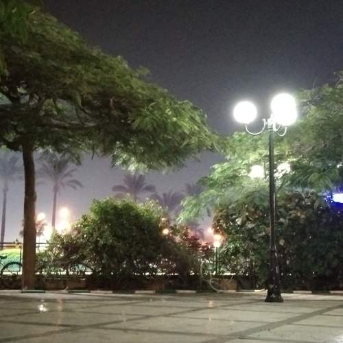 Photo #13060714