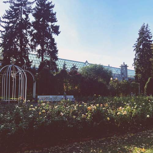 Фотография #13060735