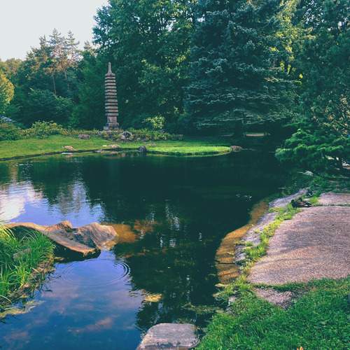 Фотография #13060737