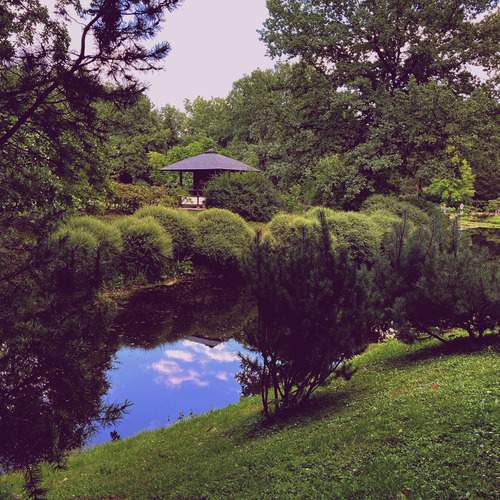 Фотография #13060739