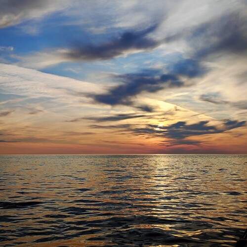 Photo #13060744