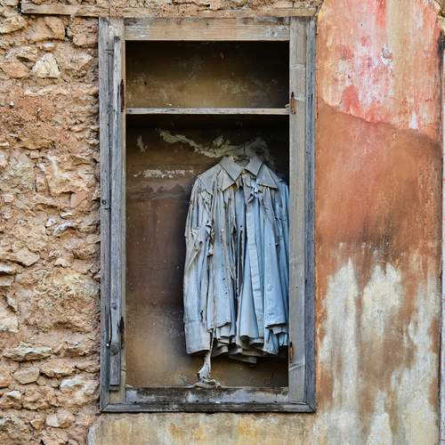 Photo #13060775