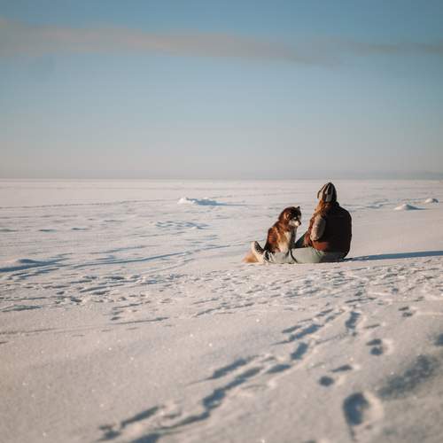 Photo #13060894