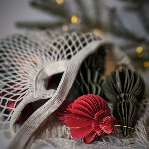 Photo #13060928