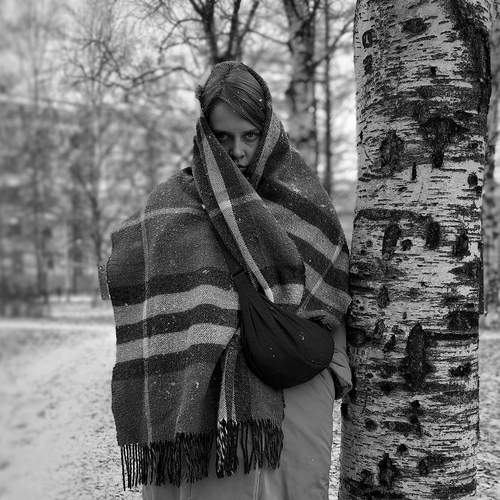 Photo #13060946
