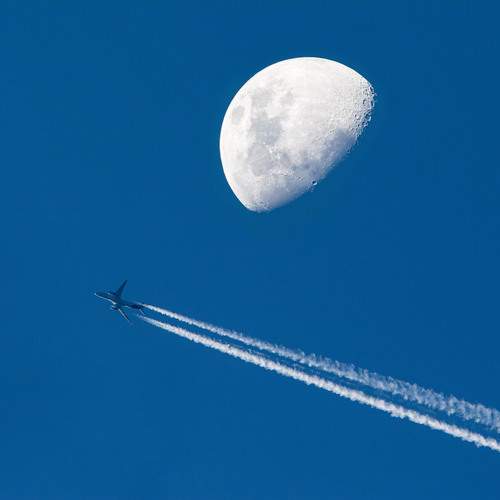 Photo #13061134