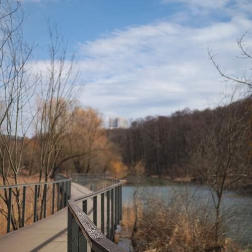 Photo #13061168