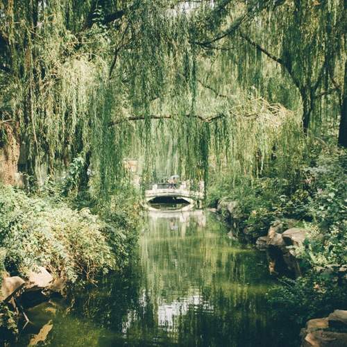 Photo #13061251