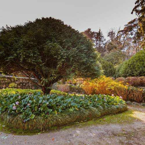 Photo #13061252