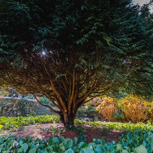 Photo #13061260