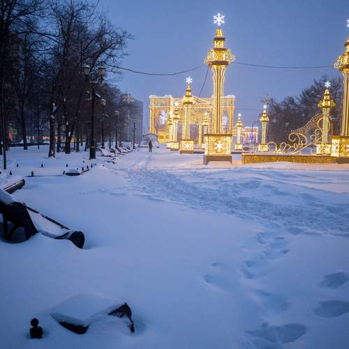 Photo #13061305