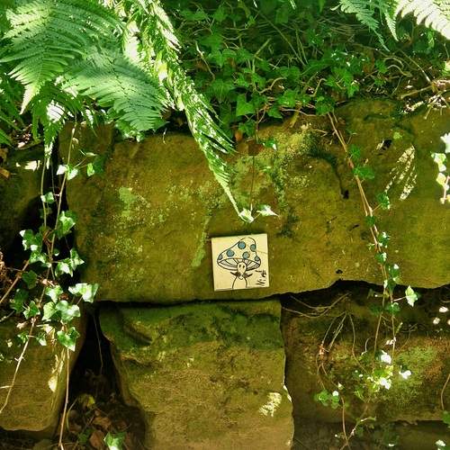 Photo #13061501