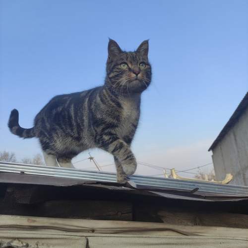 Photo #13061549