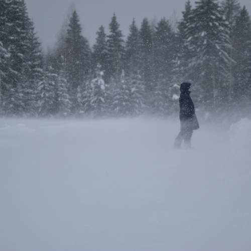 Photo #13061824